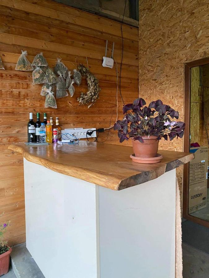 Guesthouse Omalo Dış mekan fotoğraf
